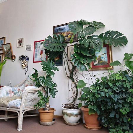 Tamari Guest House Telavi Kültér fotó