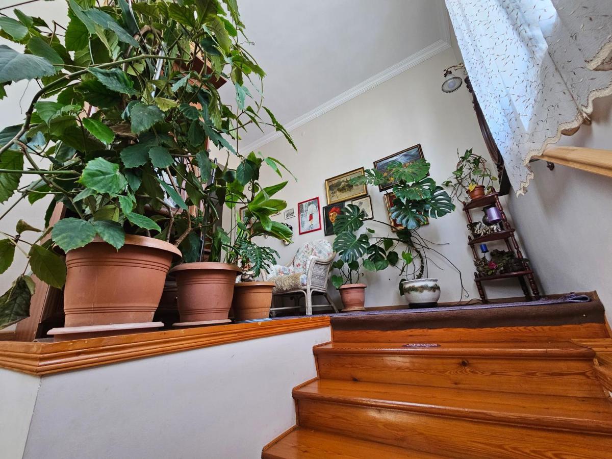 Tamari Guest House Telavi Kültér fotó