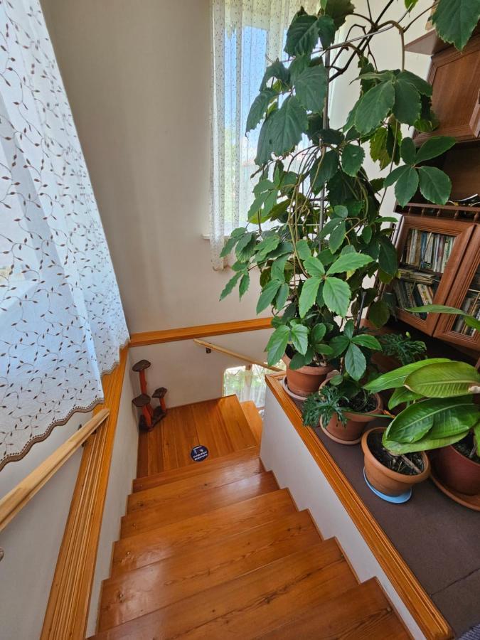 Tamari Guest House Telavi Kültér fotó