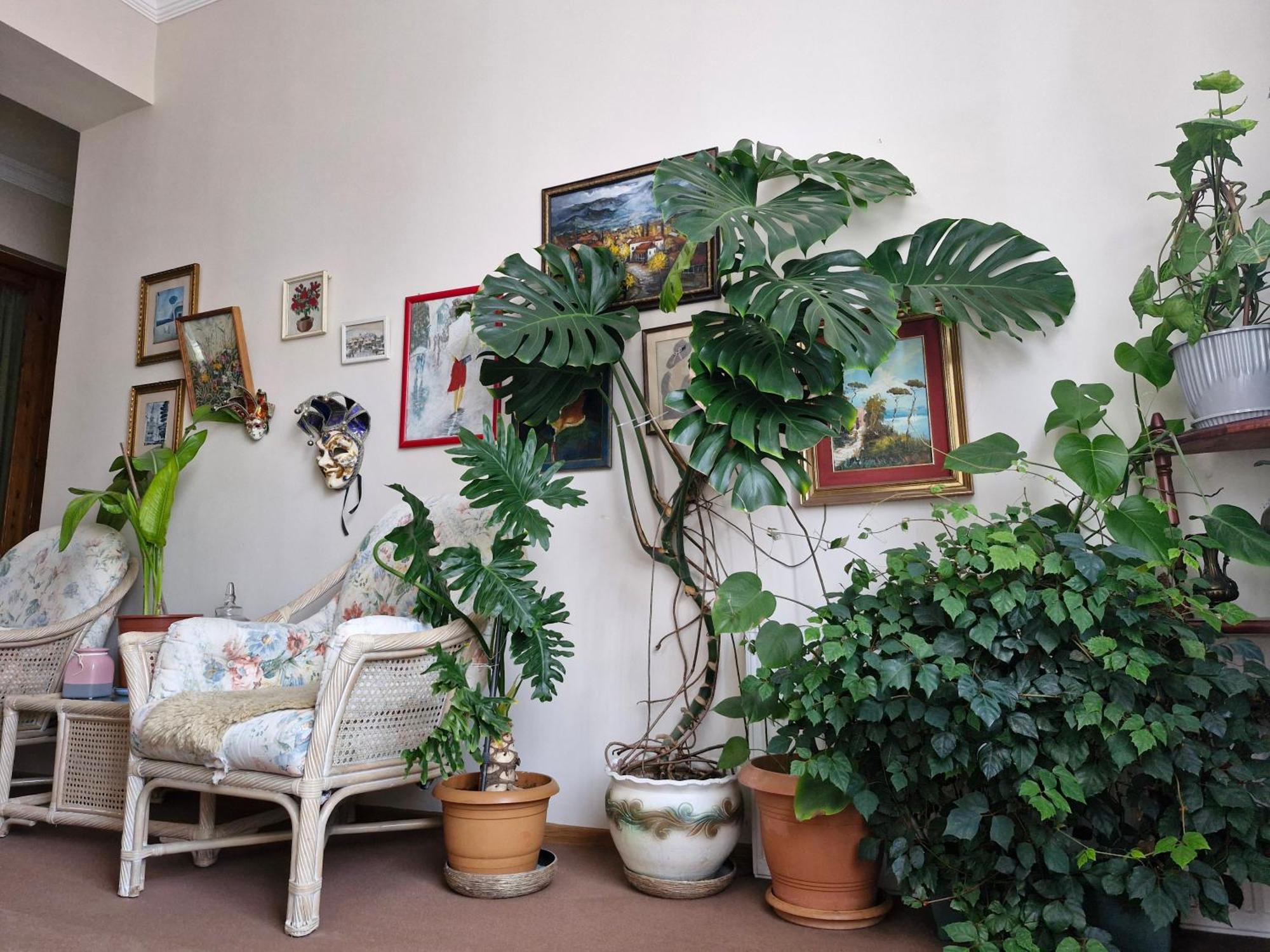 Tamari Guest House Telavi Kültér fotó