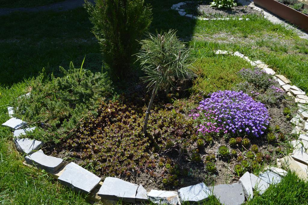 Tamari Guest House Telavi Kültér fotó