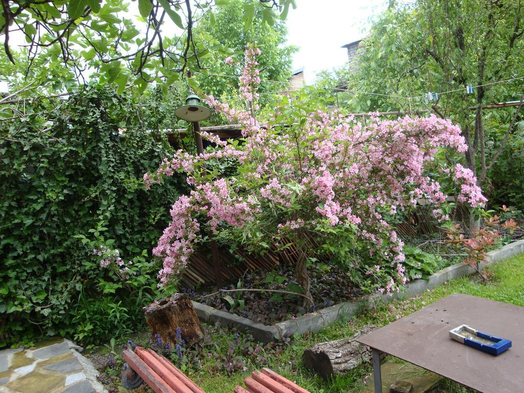 Tamari Guest House Telavi Kültér fotó