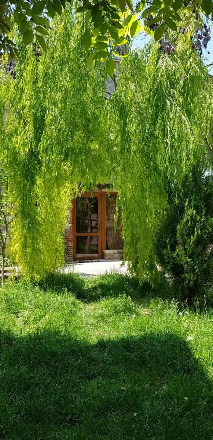 Tamari Guest House Telavi Kültér fotó